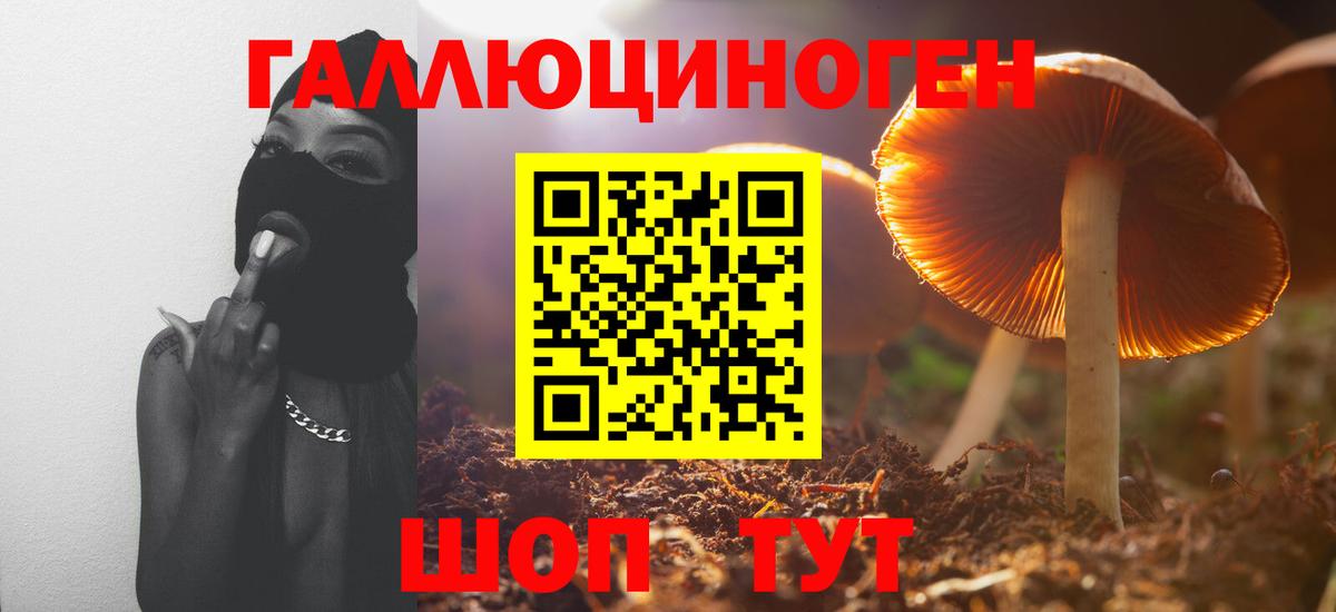 Галлюциногенные грибы Psilocybine cubensis Орёл